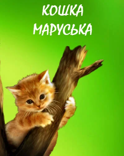 Кошка Маруська