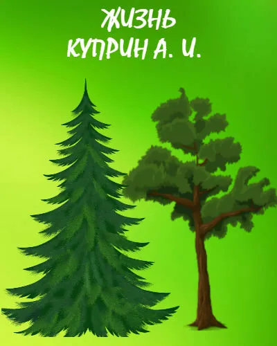 Жизнь Жизнь